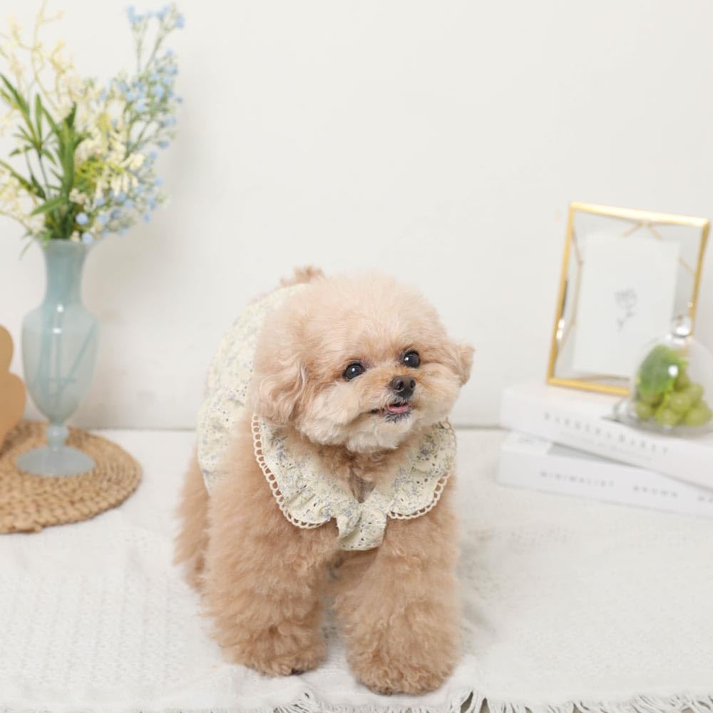 Amazon | monchéri モンシェリ [冷感フリルリボン花柄ワンピース] 犬